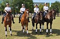 Polizeidirektion   155